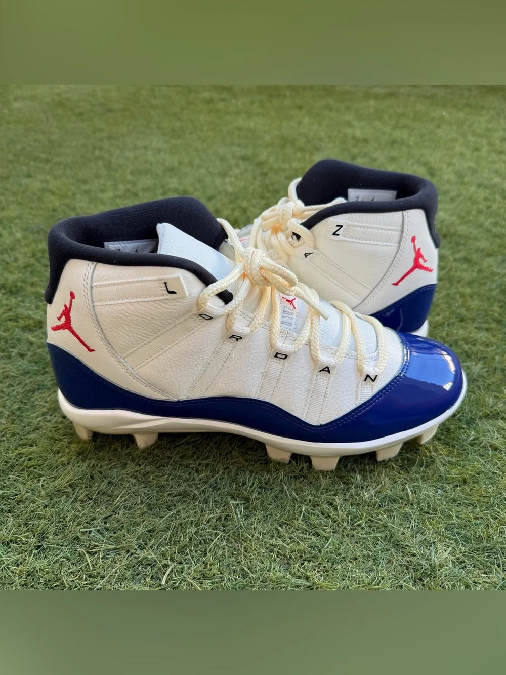 Jordan 11 Retro MCS